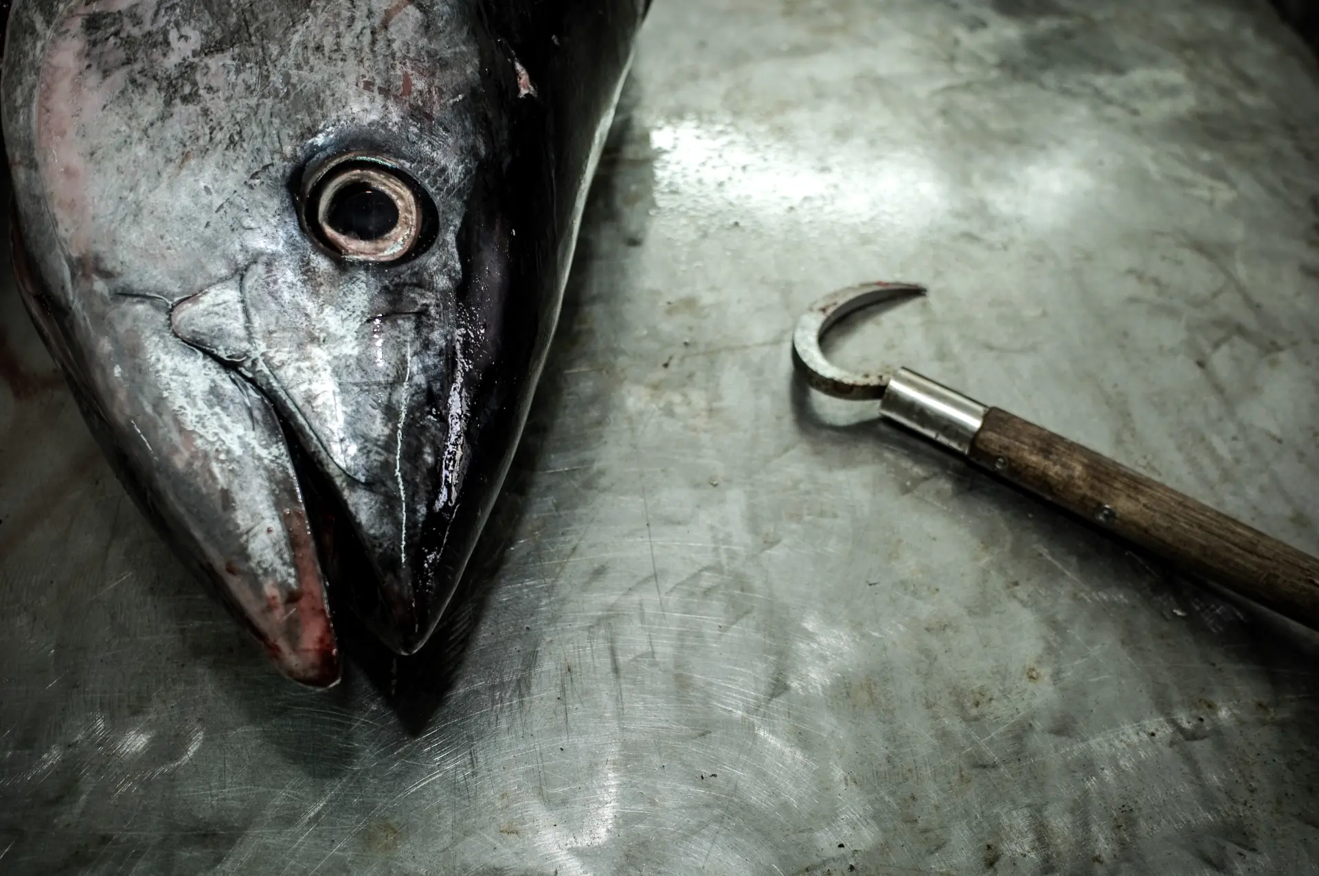 Fast Pitch Jigging: Trigger Aggressive Strikes from Pelagic Game Fish